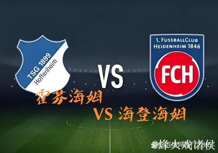 [小炮APP]竞彩资讯：霍芬海姆后防主力因黄牌停赛